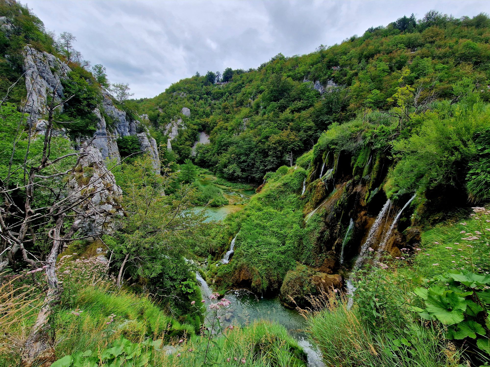 Everything WAS in order, for the Croatian border 2.0